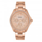 CECILE Women Rose Gold Analogue Watch AM4483