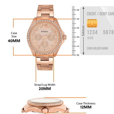 CECILE Women Rose Gold Analogue Watch AM4483